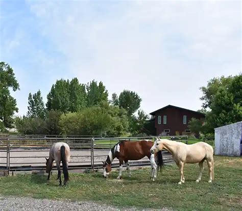 Rocky Mountain Treatment Center: Insurance, Specializations & Photos (Great Falls, Montana)