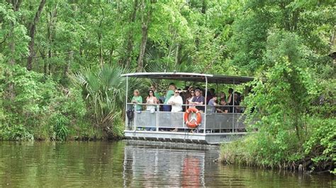 Jean Lafitte Swamp & Bayou Boat Tour from New Orleans