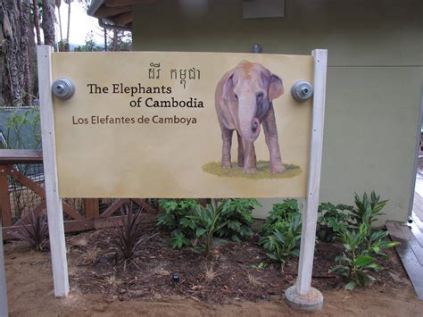 Elephants of Cambodia Signage - ZooChat