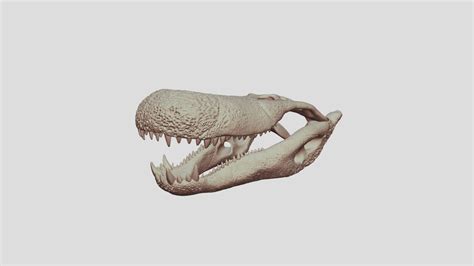 Purussaurus brasiliensis - 3D model by Fabian.Costa (@Flavio.Fabian ...