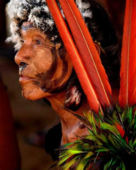 PLEASE LISTEN TO THE YANOMAMI SHAMAN’S MESSAGE – THE PLEA OF THE RAINFOREST! – And discover how ...