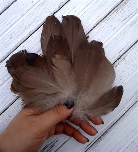 100 pieces. Wholesale Brown Duck Feathers DIY Natural | Etsy