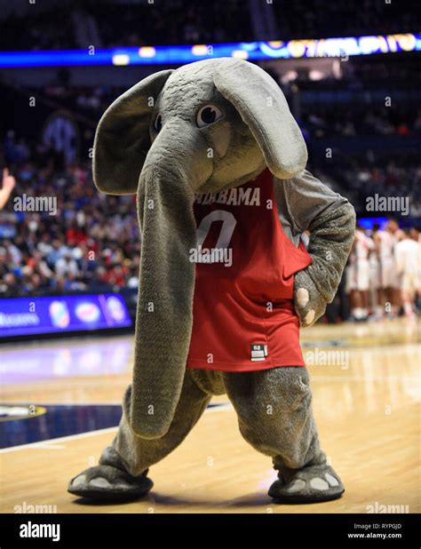 Alabama crimson tide mascot hi-res stock photography and images - Alamy