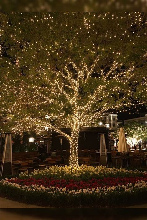 10 Unique Christmas tree decor ideas | Outdoor tree lighting, Backyard ...