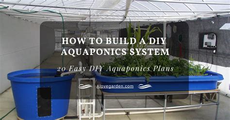 How To Build A DIY Aquaponics System – 20 Easy DIY Aquaponics Plans