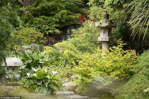 Couple spend 20 years building Japanese-themed garden - Big World Tale