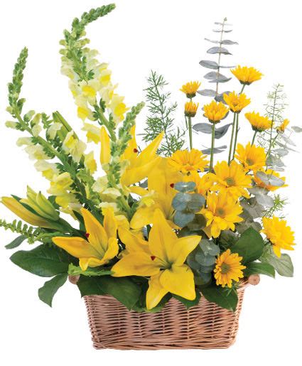 Cheerful Yellow Basket Arrangement in Coopersburg, PA - Coopersburg ...