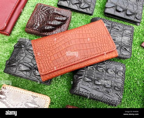 wallet of leather crocodile skin Stock Photo - Alamy