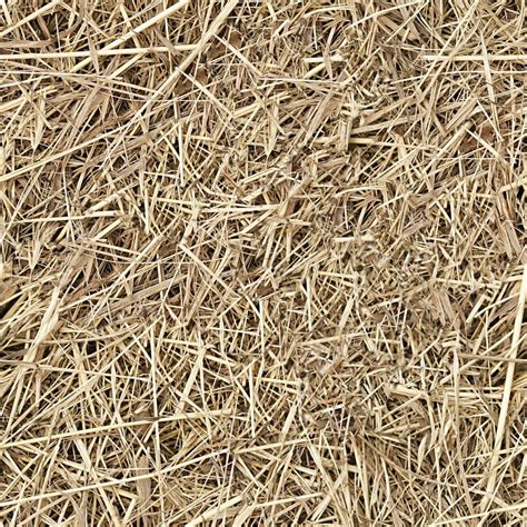 seamless | Grass textures, Seamless textures, Grass texture seamless