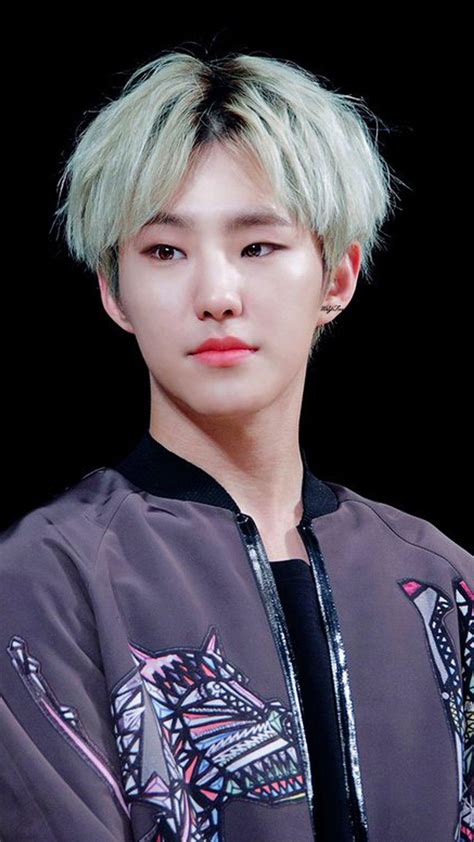 Hoshi Seventeen Wallpapers - Wallpaper Cave