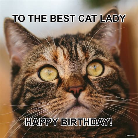 Happy Birthday Cat Meme For Her in GIF, JPG, PNG, Illustrator, PSD - Download | Template.net ...