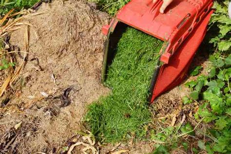 How To Compost Grass Clippings Fast