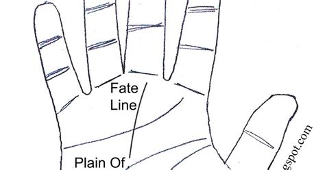 Types Of Fate Line In Palmistry | Fate line, Palmistry, Fate