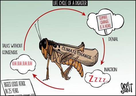 Simply Put: Locust life cycle