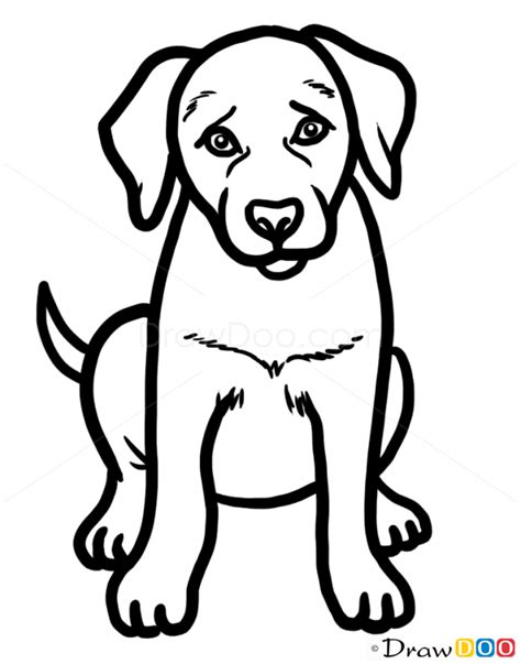 Pin by Holli Allen on to print | Dog drawing simple, Puppy drawing, Dog ...