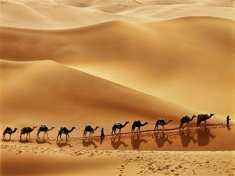 Desert Saudi Arabia Wallpapers - Top Free Desert Saudi Arabia ...