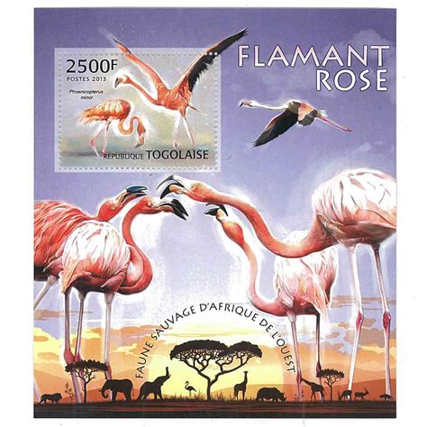 Togo Stamp, 2013 Flamingo, Birds, Wildlife, Animals S/S – International ...