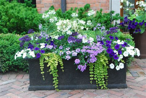 15 Most Beautiful Container Gardening Flowers Ideas For Your Home Front Porch | Container ...