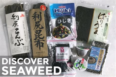 Discover Seaweed: The Essential Ingredient of the Japanese Diet • Just One Cookbook