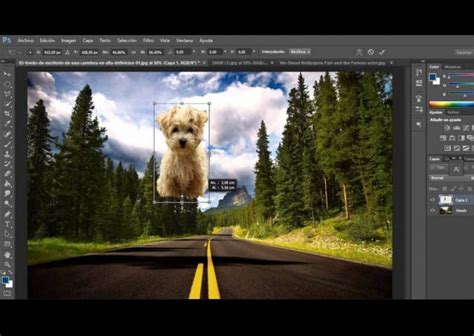 How to make a professional photomontage in Photoshop - Step by step ...