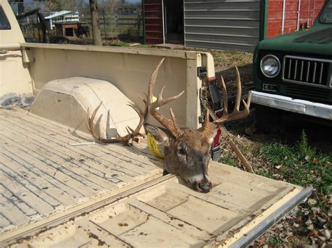 Severed Deer Head in the Back of a Pickup | Turner Sousley | Flickr