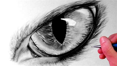 How to Draw a Cat Eye - YouTube