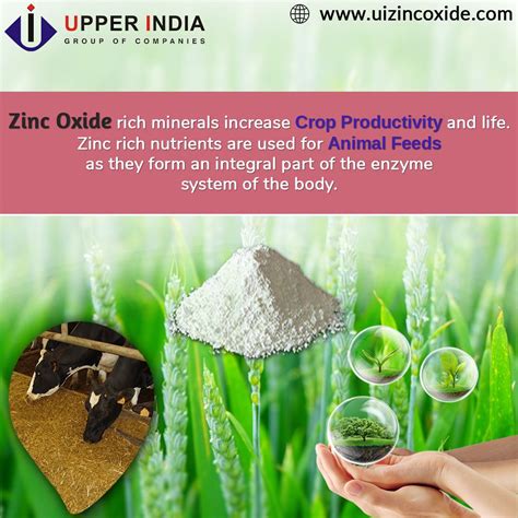 Upper India - Zinc Oxide Uses & Applications | Zinc oxide uses, Zinc, Agriculture