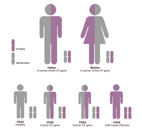 Cystic Fibrosis - Impact be