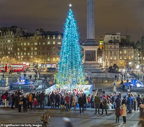 List 96+ Pictures Who Donates A Christmas Tree To Trafalgar Square Full HD, 2k, 4k