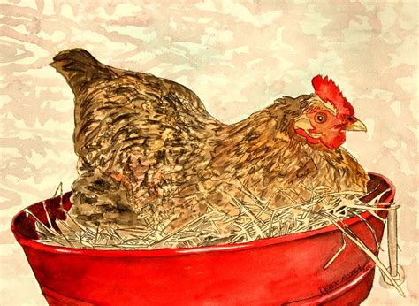 Chicken Hen Painting Art Print Painting by Derek Mccrea - Fine Art America