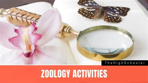 5 Engaging Zoology Activities For High School Students - TheHighSchooler