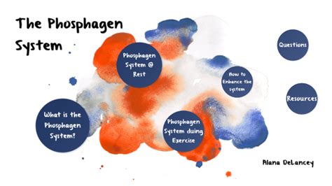 The Phosphagen System by Alana DeLancey on Prezi