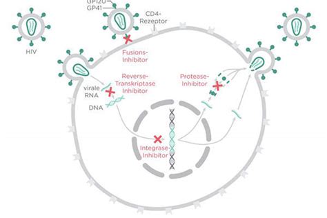 Triumeq (dolutegravir/abacavir/lamivudine) for the Treatment of HIV - Clinical Trials Arena