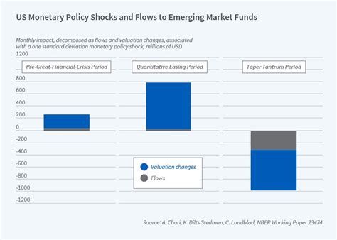 Capital Market Risks in Emerging Markets | NBER