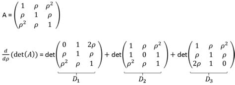 The derivative of the determinant of a matrix - The DO Loop