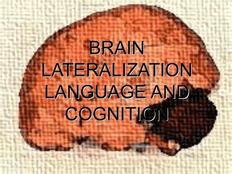 BRAIN LATERALIZATION