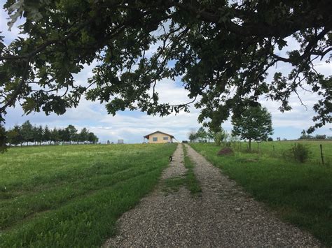 Life in the Romanian countryside: How I left Bucharest to build a house ...