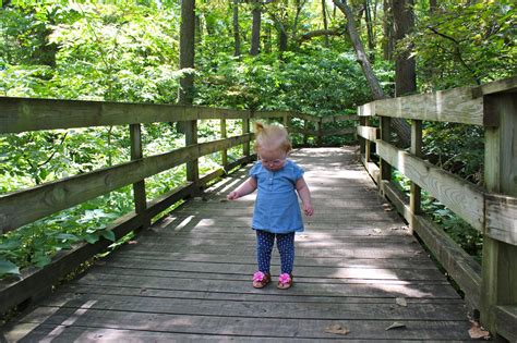 Frolicking in the Fontenelle Forest | Our Next Adventure