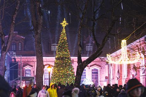 Žiema Kaune (skaitytojų nuotraukų galerija) – Kas vyksta Kaune