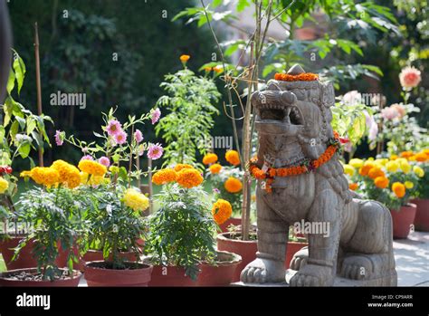 Thai thailand garden ornament hi-res stock photography and images - Alamy