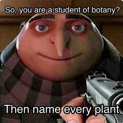 The Fun in Biology: Learning through Memes : Plantlet