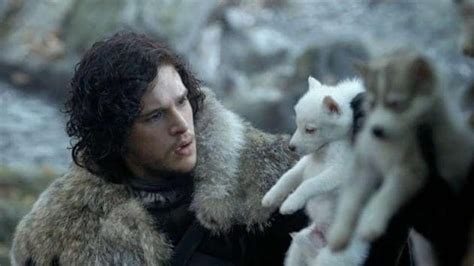 Jon Snow’s loyal direwolf Ghost to make a comeback on Game of Thrones ...