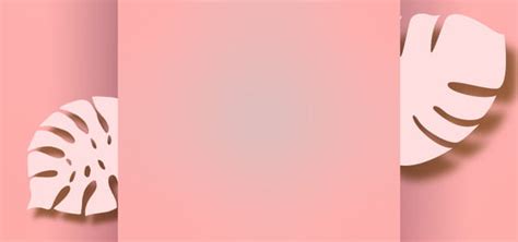 Aesthetic Pink PowerPoint Background
