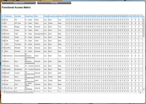 Role Based Access Control Matrix Template