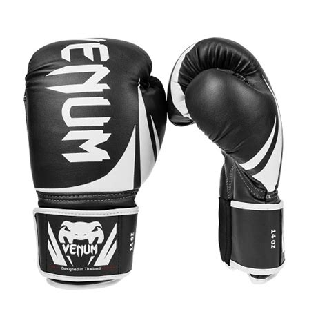 Top 5 Best 20 oz Boxing Gloves | Boxing For The Deal