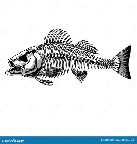 Skeleton Of Fish Cartoon Vector | CartoonDealer.com #18440475