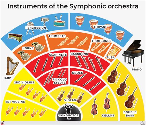 Instruments of the Symphonic orchestra Poster, PDF - eScuola