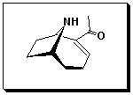 Danheiser Group - Total Synthesis - Anatoxin a