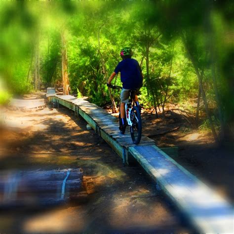 Oleta River State Park Mountain Bike Trails | Trailforks