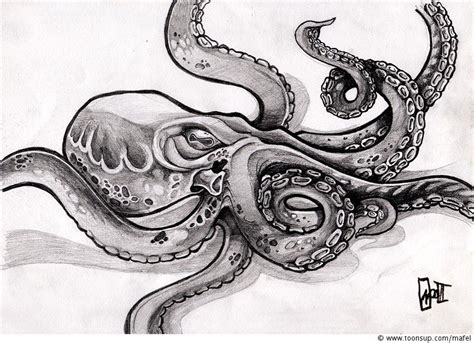 Kraken Drawing, Pencil, Sketch, Colorful, Realistic Art Images 682 ...